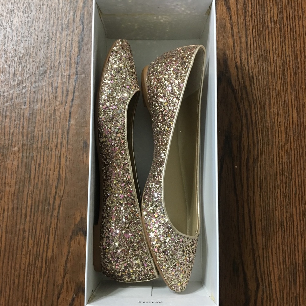 Ann Taylor Dawn Glitter Flat NWOT